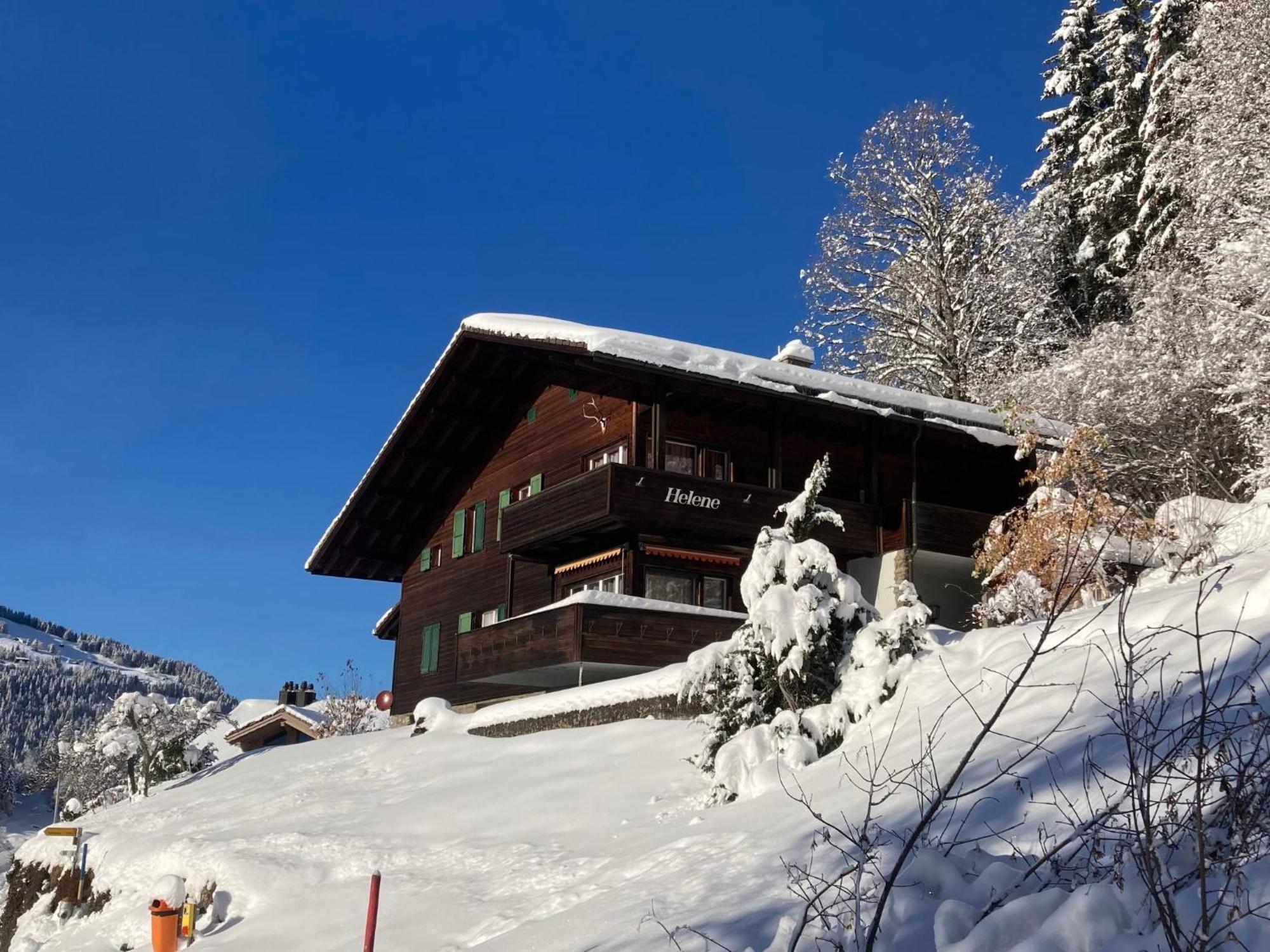 Apartment Helene Apt Diana By Interhome Wengen Eksteriør billede